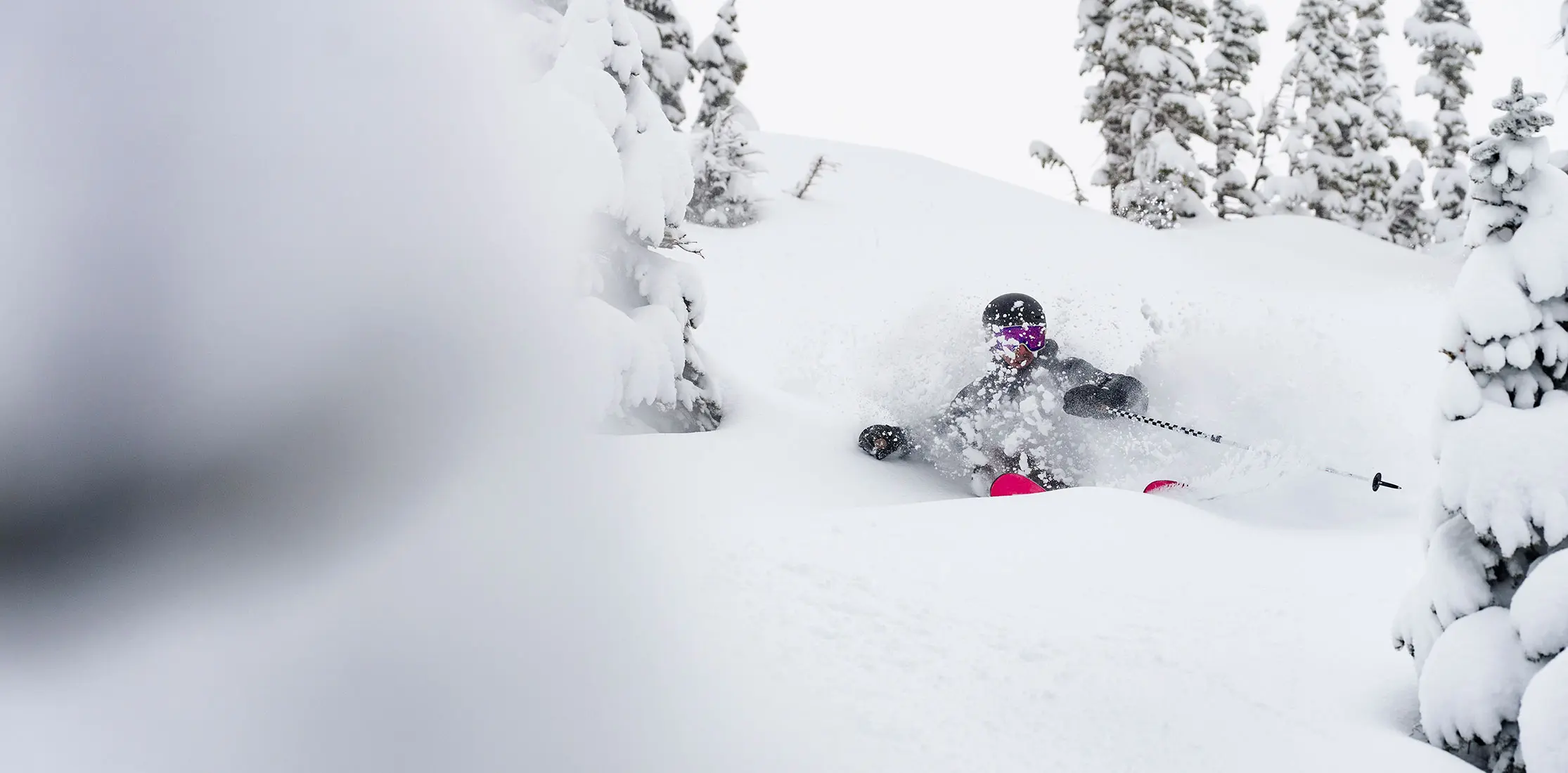 Skier in deep powder in the trees during Snowbird's January storms, which dumped 3 feet of snow