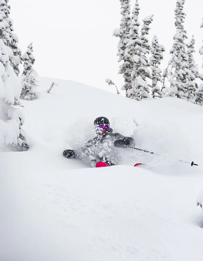 Mobile image of skier in deep powder during Snowbird's January storms
