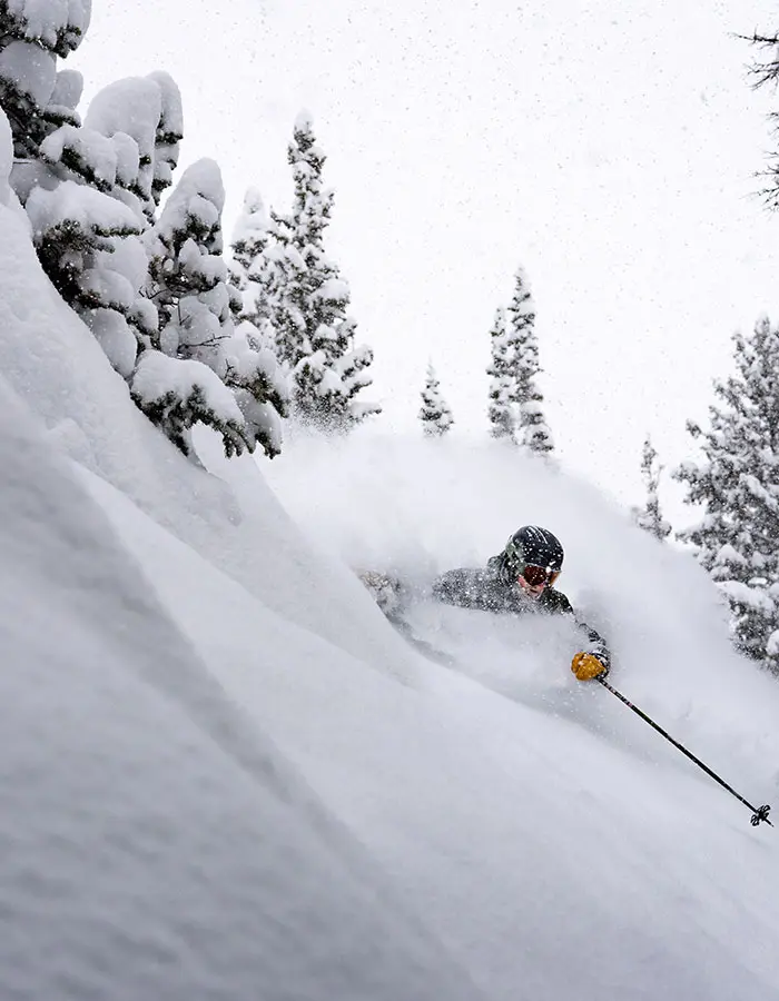 Mobile hero of skier in deep powder in the trees