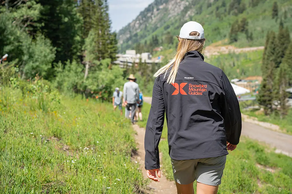 Guide leading a guided hike at Snowbird