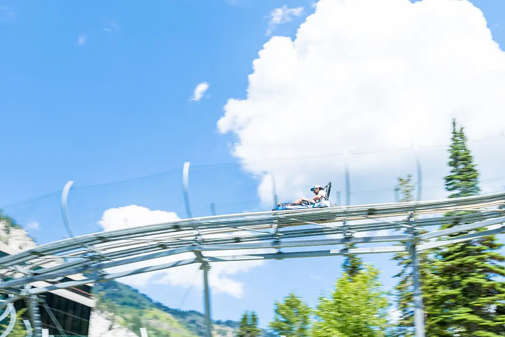 Mountain Coaster at Snowbird, a fun summer activity