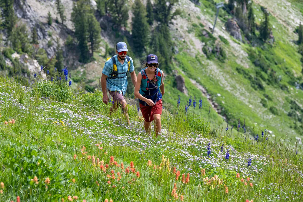 Hiking through wildflowers at one of Snowbird's guided hikes