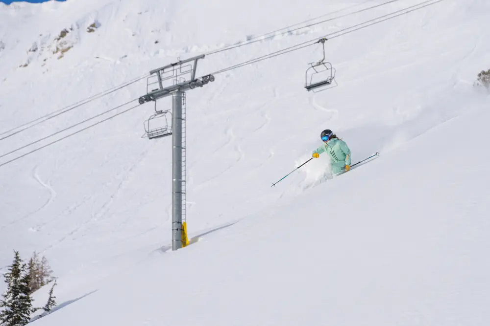 Snowbird