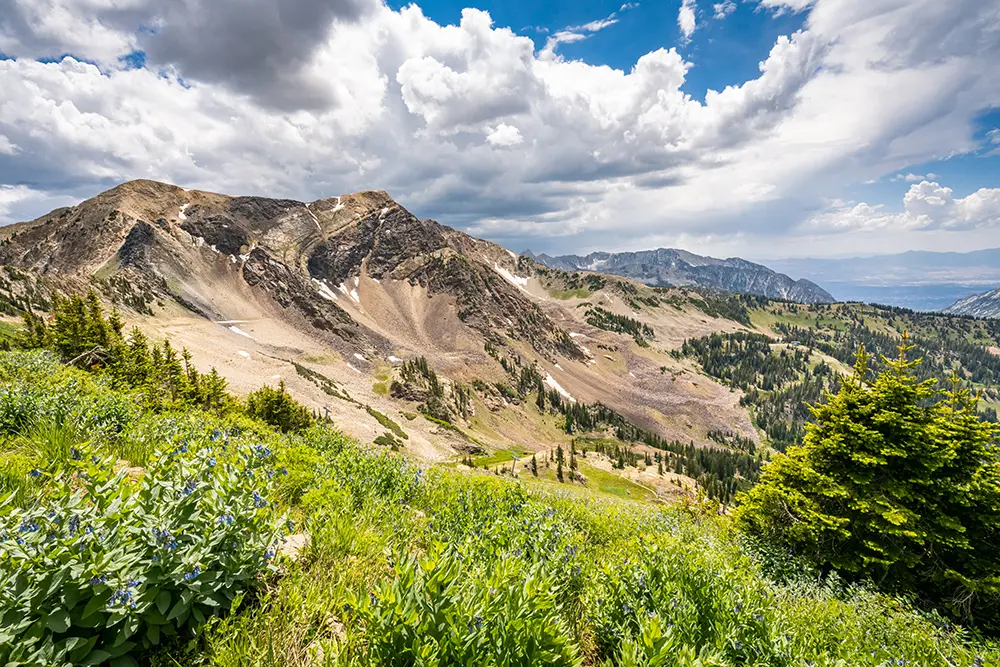 Twin Peaks view from Snowbird's Summit in Summer