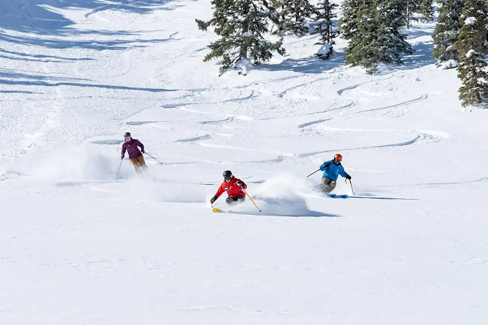 Ski instructor brings adult mountain experience participants to a slope with powder