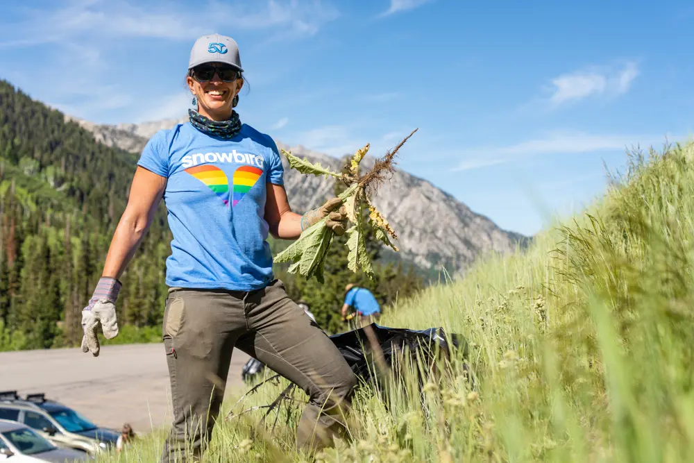 Employee Values at Snowbird including protecting the land we ski on. Director of Sustainability pulls weeds during weed pull day.
