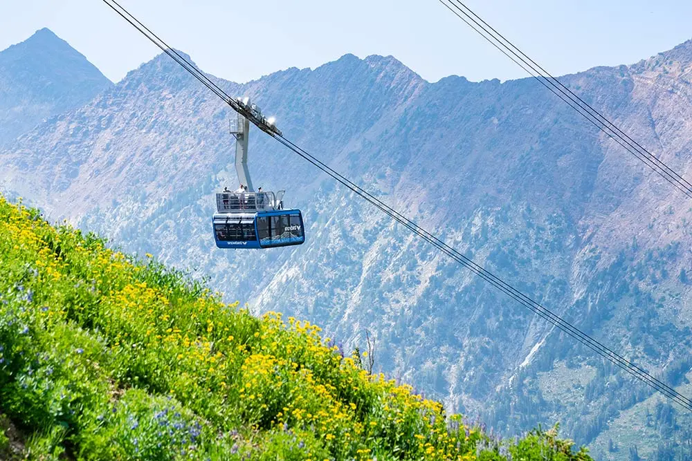 Blue tram in the wildflowers with the Little Cottonwood ridge behind it