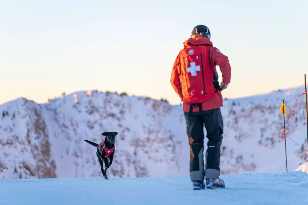Tony, an avalanche rescue dog, and his trainer Paul working on recall drills during sunrise