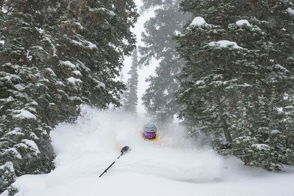 Ana skis powder in the trees in a yellow jacket