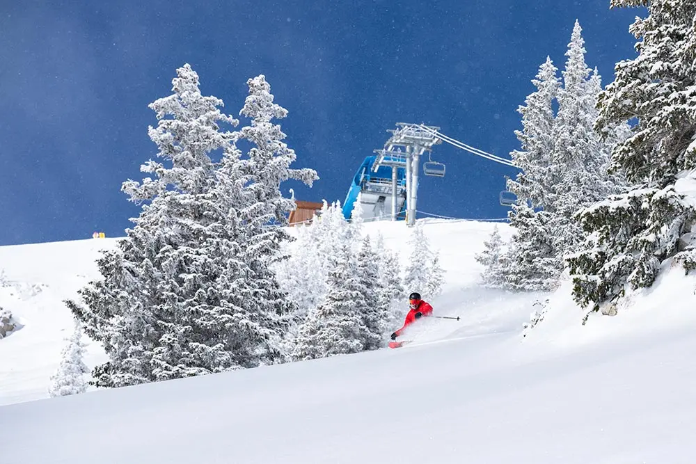 Skiing powder in front of Mineral Basin at Snowbird