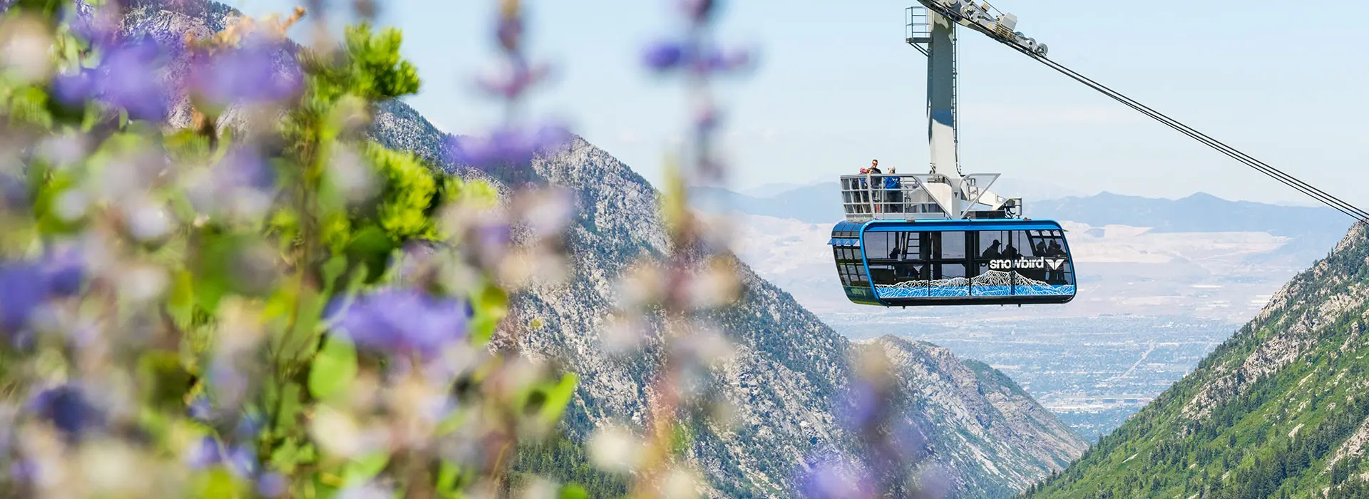 Snowbird tram in summer with the rooftop balcony, raising over the city over wildflowers