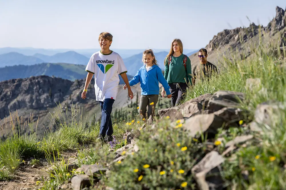 Hiking with a family at Snowbird on Mineral Basin trails with wildflowers and views