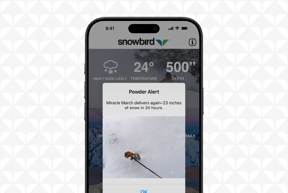 Notifications on the Snowbird App, screenshot of a powder alert within the app