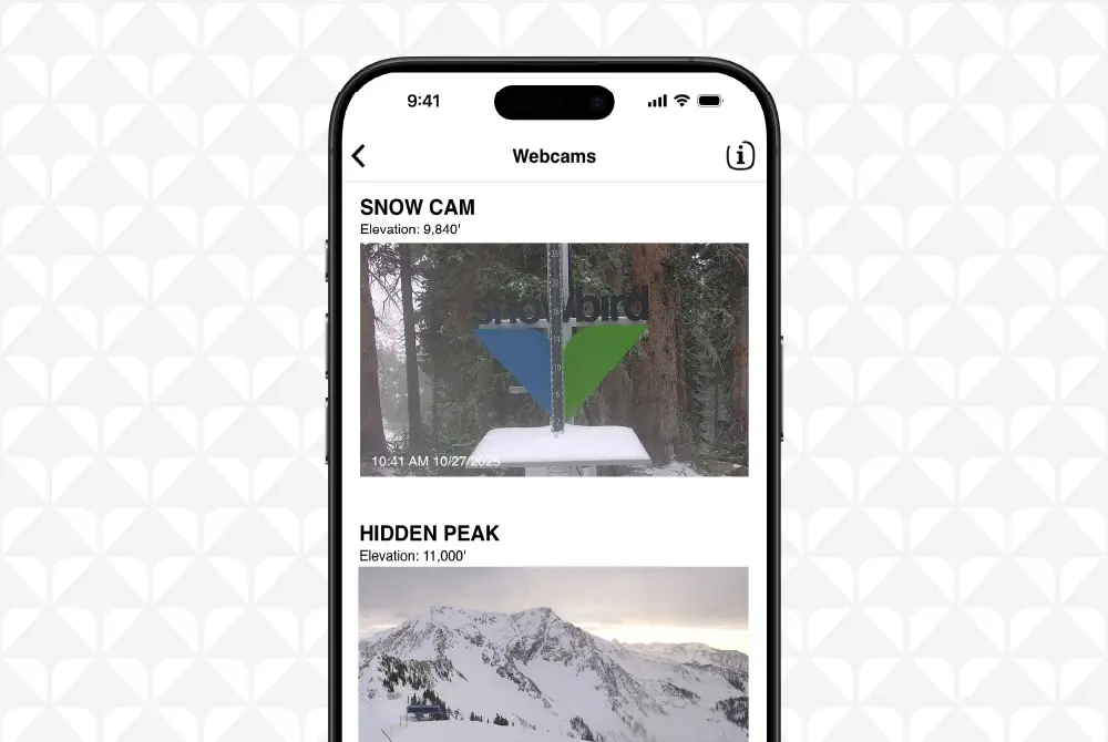 Webcams within the Snowbird app