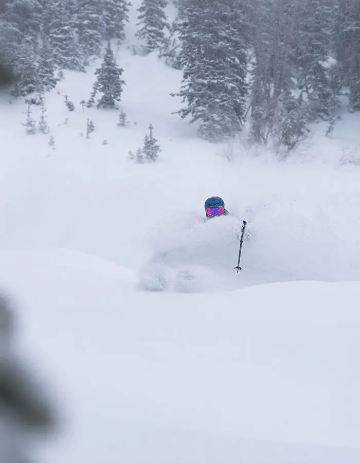 Flex-5 at Snowbird- skier in deep powder in the trees