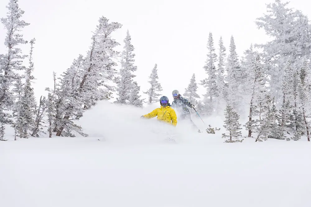 Adult skis in front of daughter during a storm at Snowbird