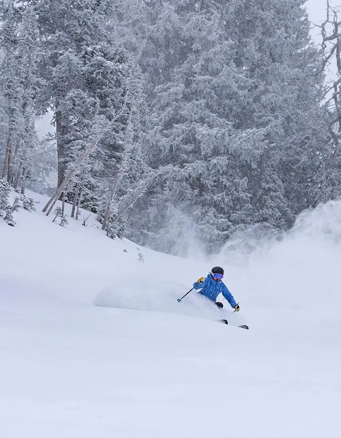 Snowbird mobile hero of a season pass