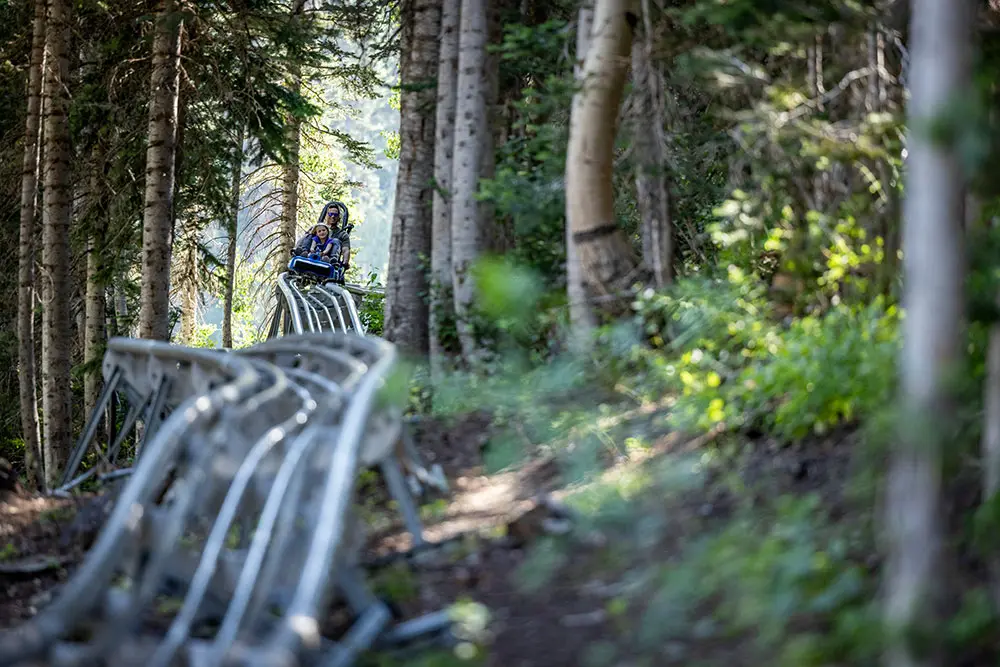 Family on the mountain coaster during the summer at Snowbird, 2 free all day activity passes is an alta-bird benefit