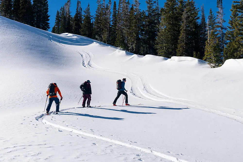Group tours up a skin track in the backcountry together near Snowbird during a guided backcountry skiing day
