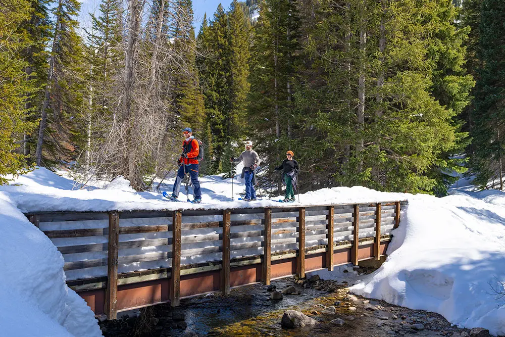 Snowbird Mountain Guides lead a snowshoe tour close to Snowbird