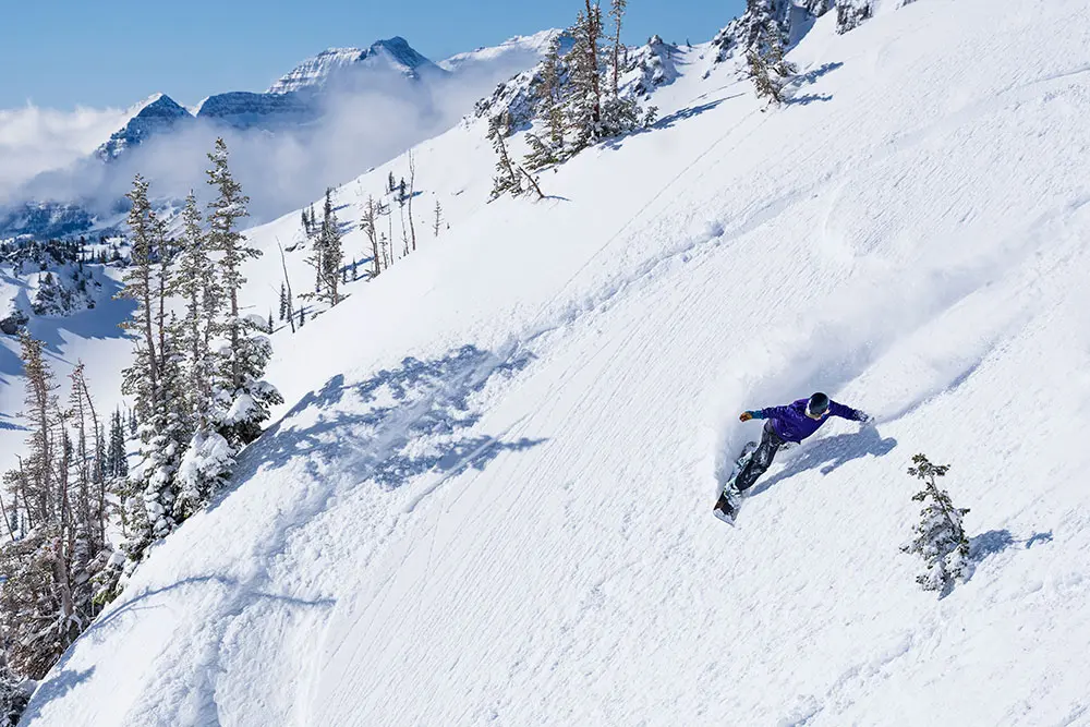 Snowbird Adult Snowboard Camp
