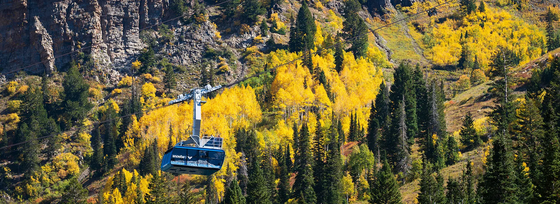 Scenic photo of the blue tram rising up at Snowbird with fall colors in the background-hero for tools and resources