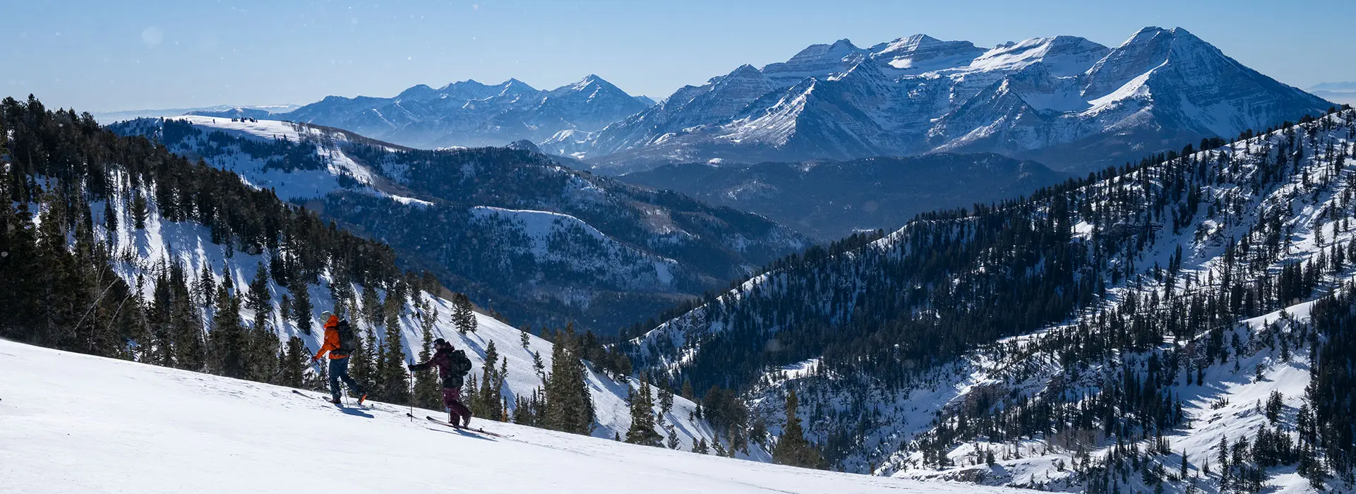 Snowbird Adult Snowboard Camp