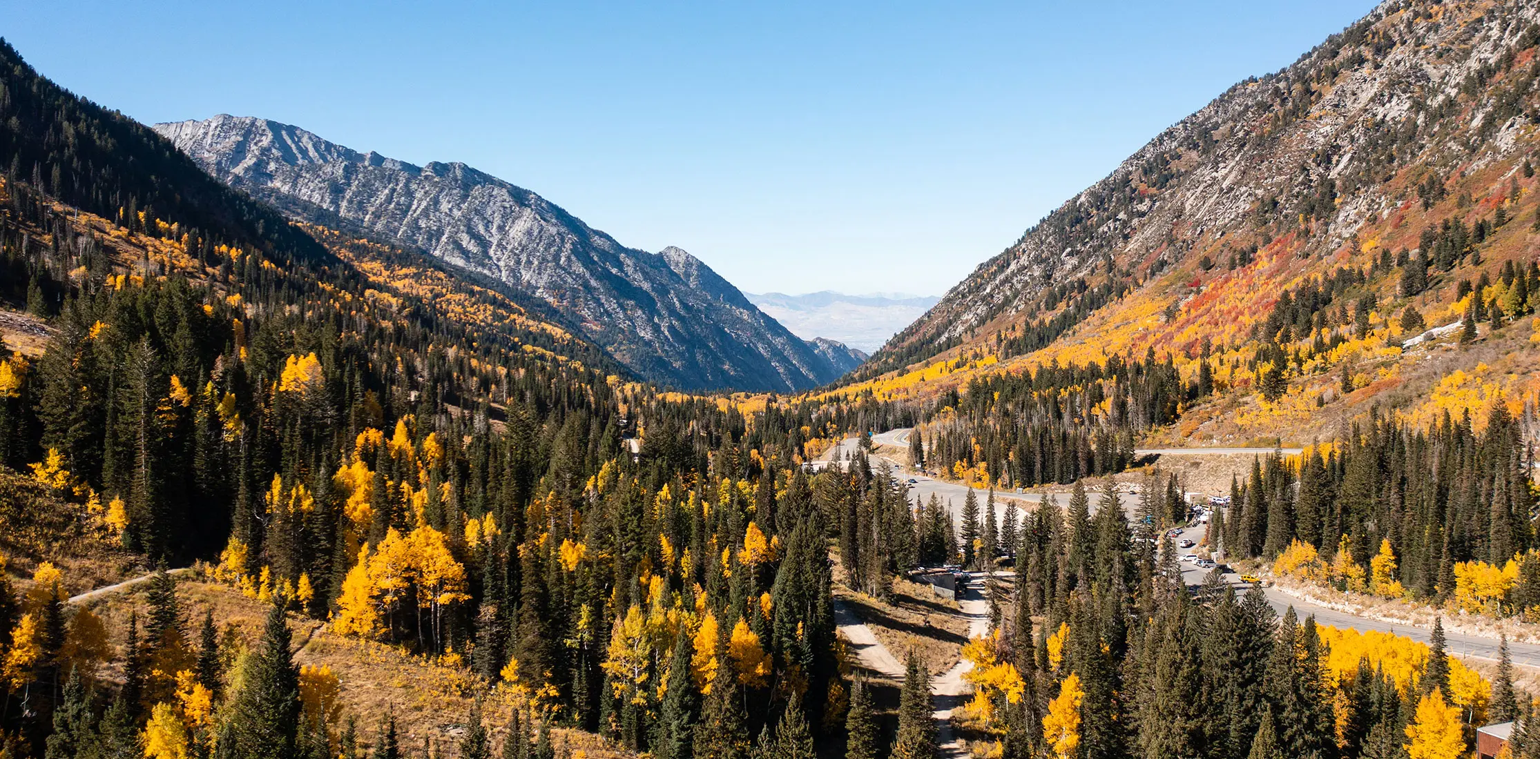 Fall colors in Little Cottonwood Canyon at Snowbird