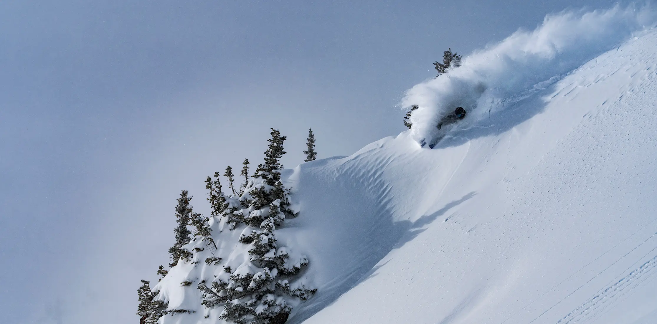 Skier in powder on a ridgeline near snowbird