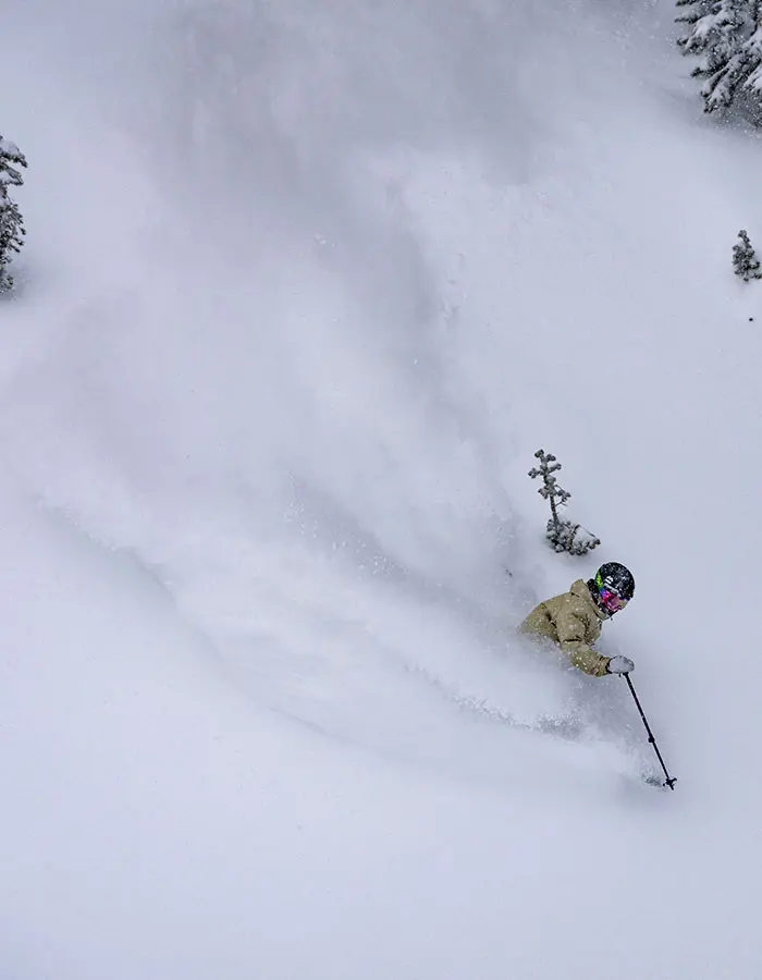 Mobile hero of a skier with a Snowbird Season pass making a powder turn