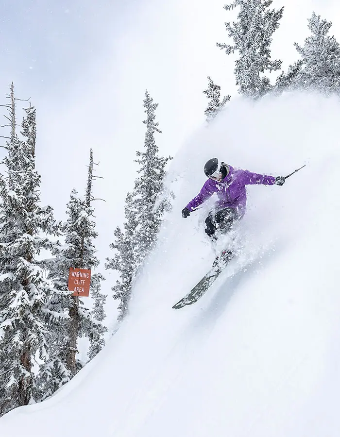 Skier in powder at Snowbird, mobile hero for 2 days left