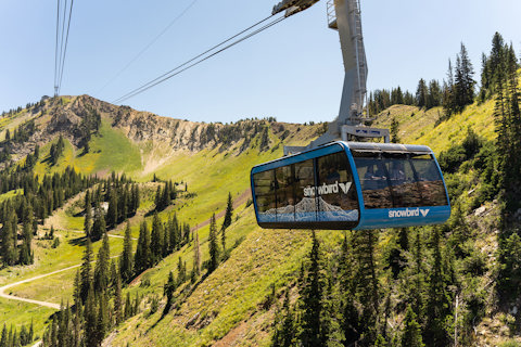 Summer Activities and scenic tram rides at Snowbird, featuring the best luxury for corporate retreats utah and corporate events utah.
