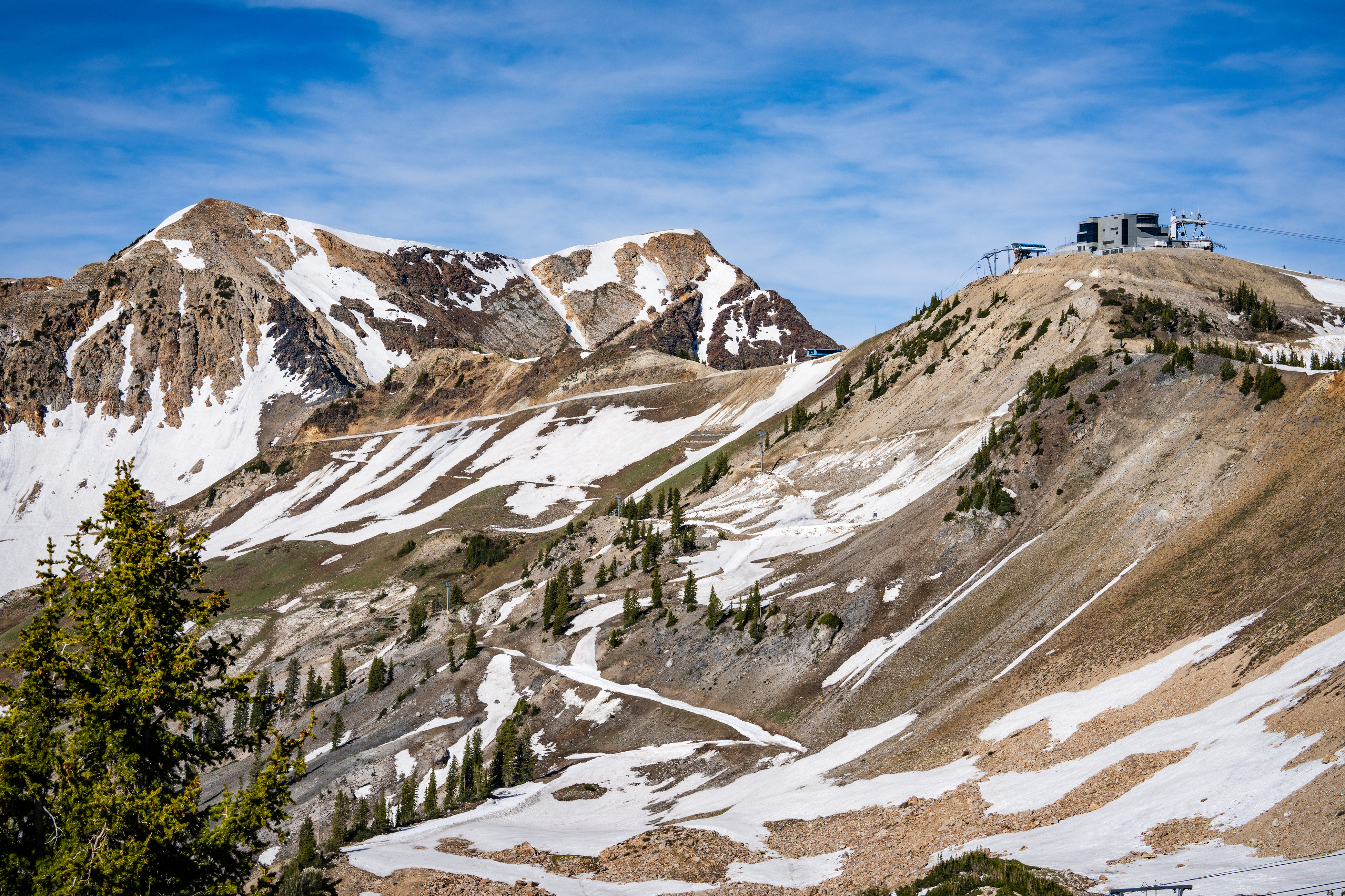 Snowbird Teams up with National Forest Foundation