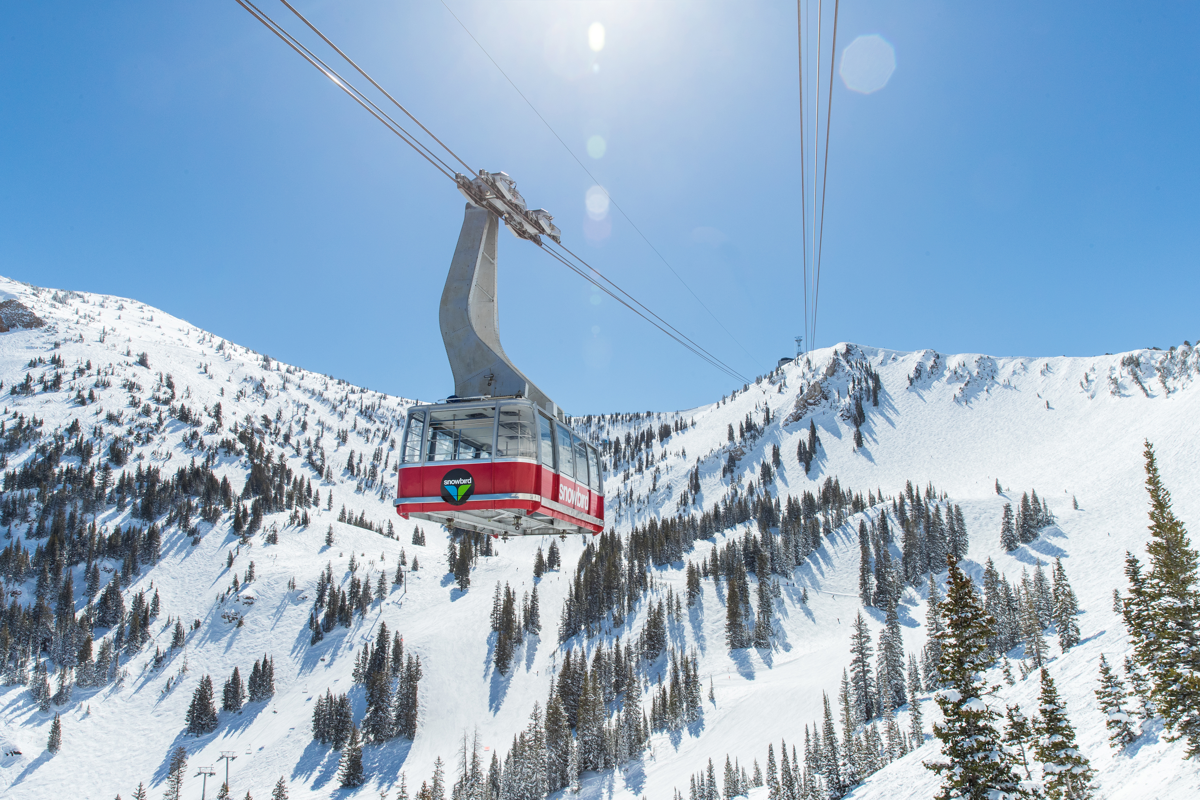 Snowbird Ski Resort Tall Shot Glass New Snowbird Utah 