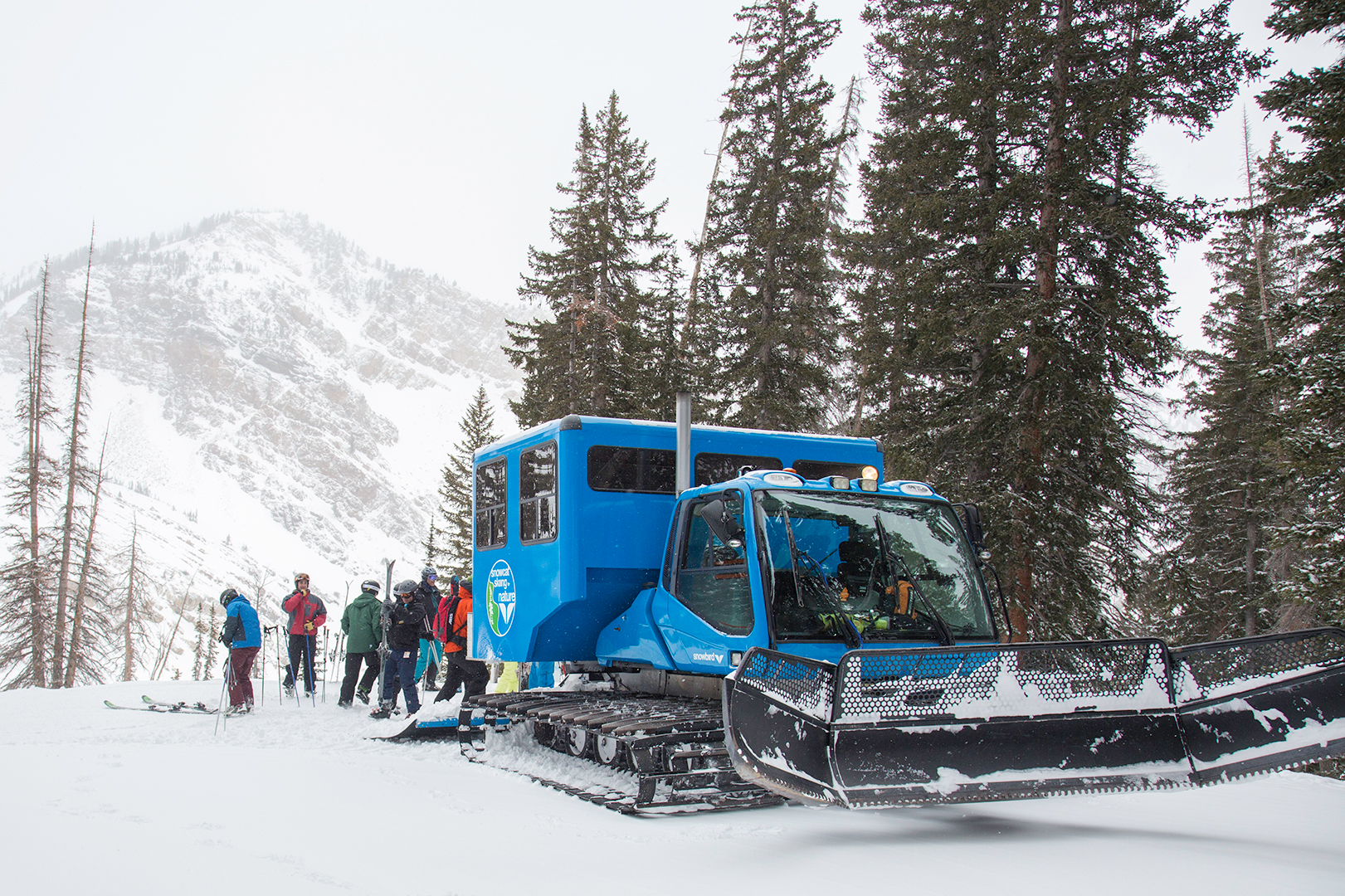 Group stands outside snowcat while snowcat skiing