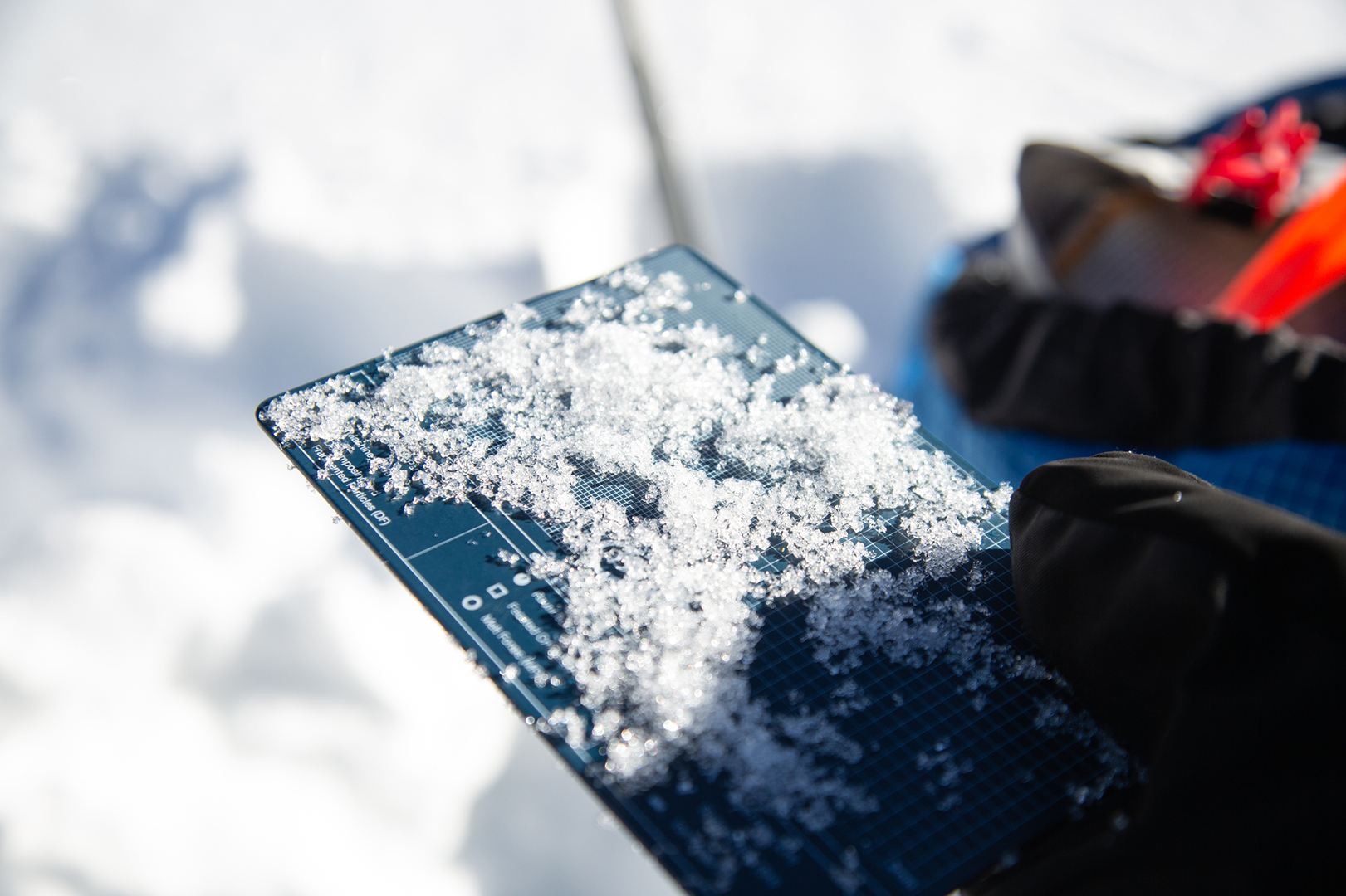 person looks at snow on card at avalanche education course